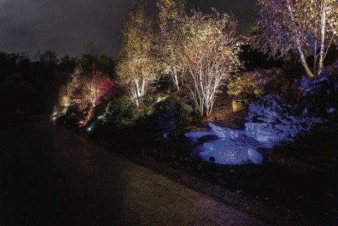 just-in-time-for-the-holidays-stunning-lighting-control-solutions